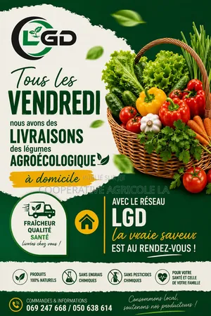 Légumes Frais Sans Engrais Chimiques