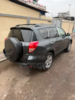 Toyota RAV4 2018 Gris