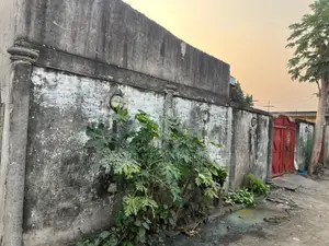 Demi Parcelle À Vendre