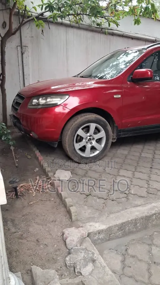 Hyundai Santa Fe 2009 Rouge