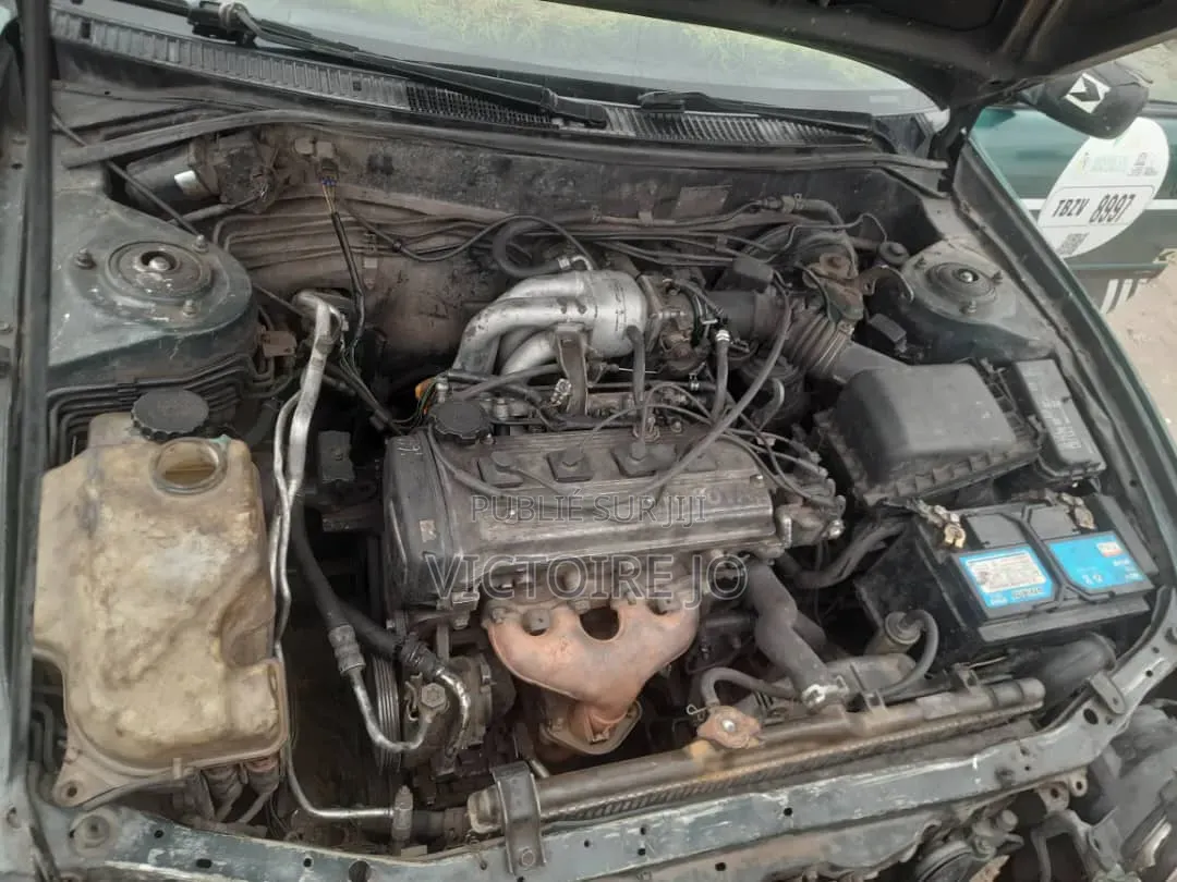 Toyota Corolla 2014 Vert