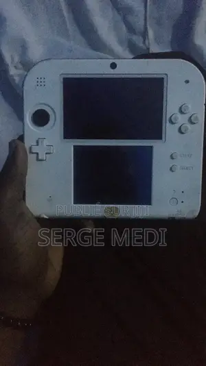 Nintendo Ds