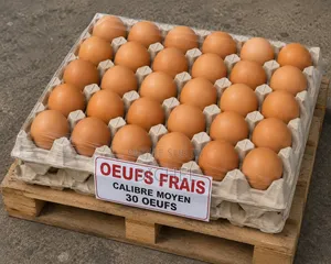 Oeufs Frais