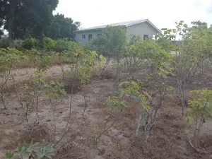 Terrain À Vendre 400m×2