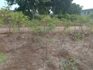 Terrain À Vendre 400m×2