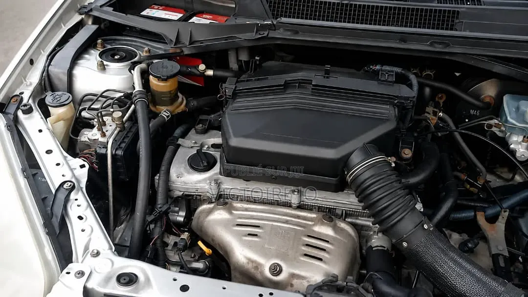 Toyota RAV4 2017 Gris