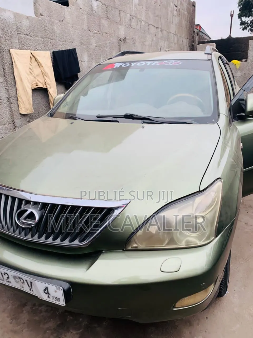 Lexus RX 2006 Vert