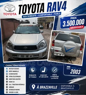 Toyota RAV4 Automatic 2003 Gris