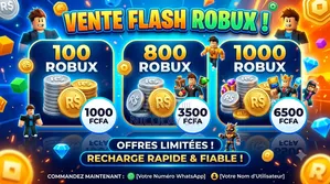 Vente Robux en Ligne