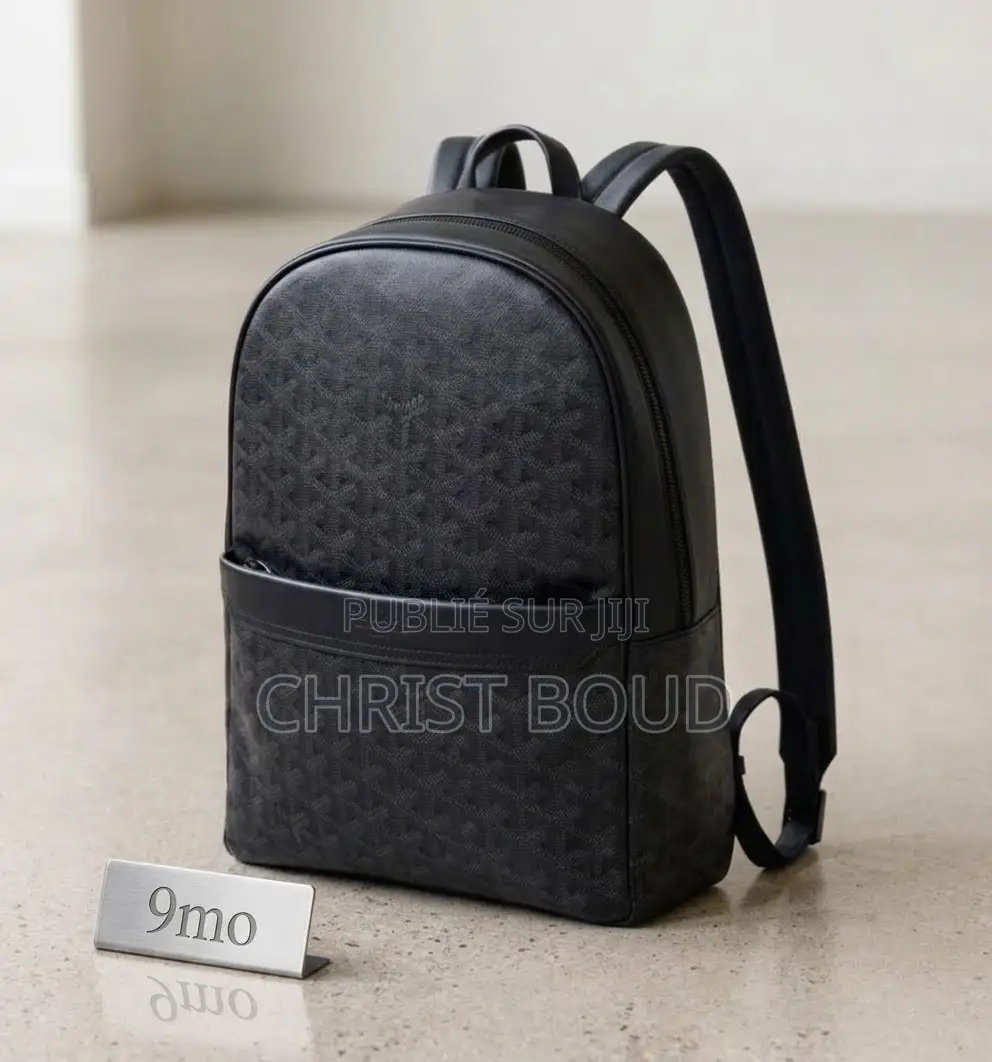 Sac Goyard