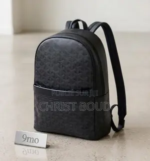 Sac Goyard