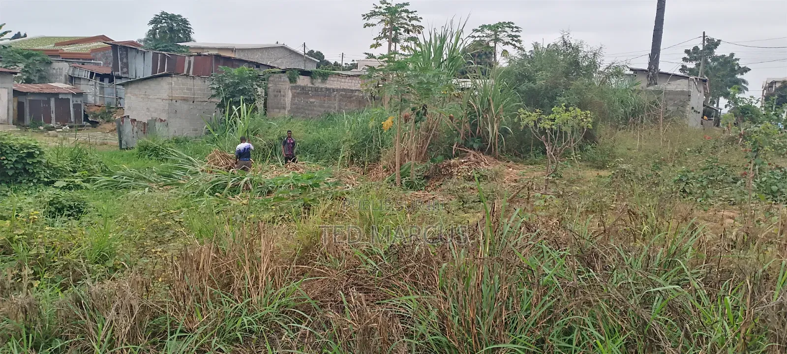Terrain a Vendre