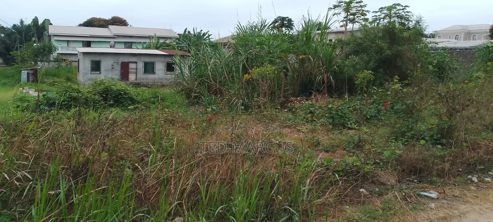 Terrain a Vendre