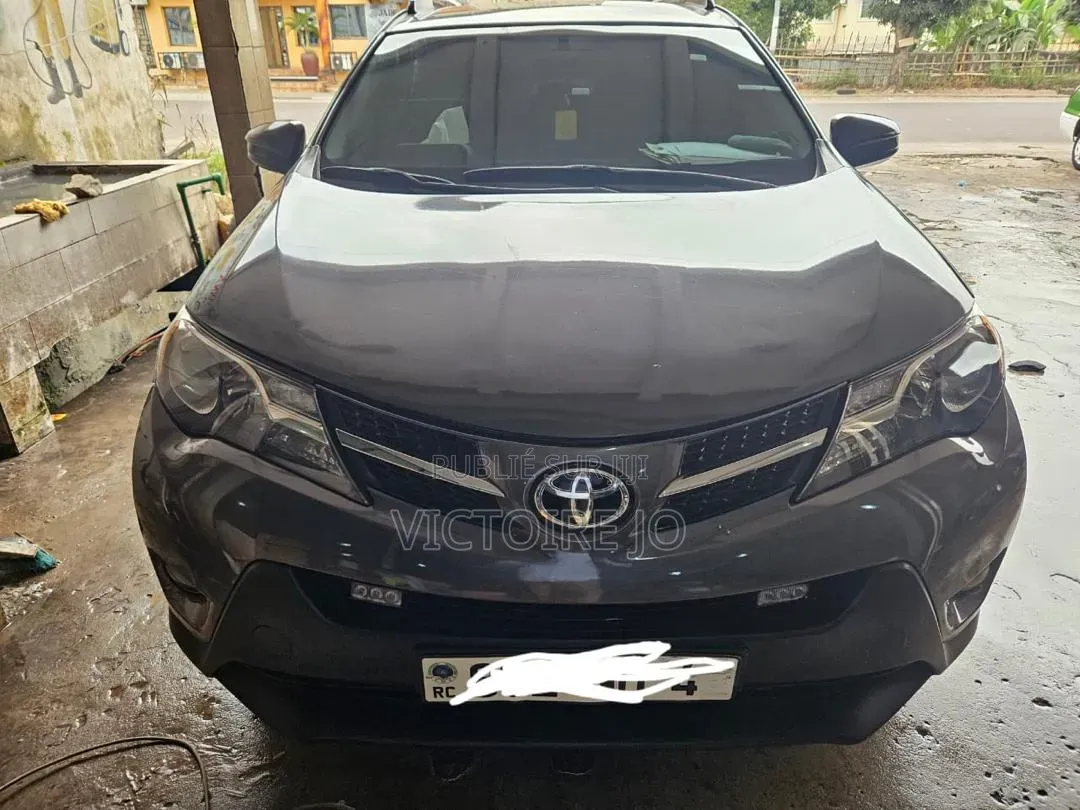 Toyota RAV4 2016 Gris