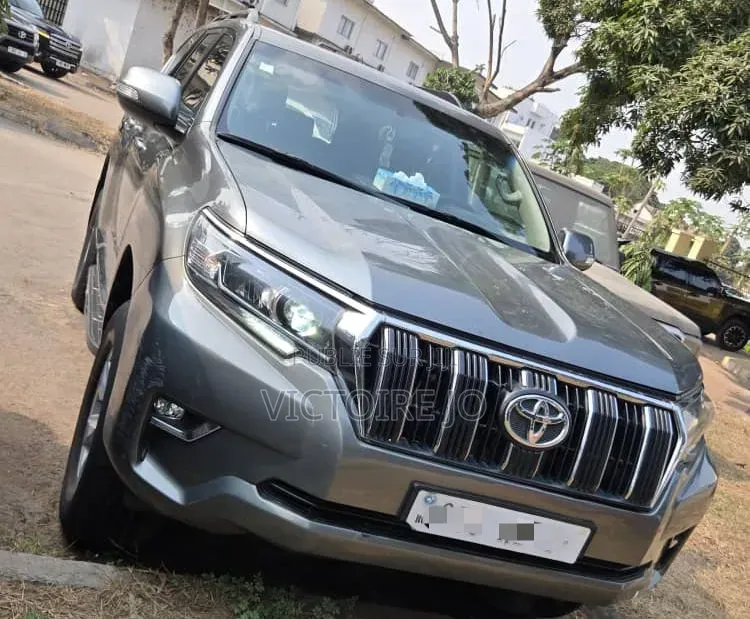Toyota Land Cruiser Prado 2020 Gris