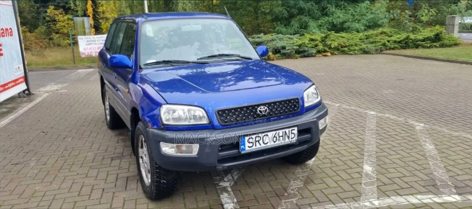 Toyota RAV4 Cabriolet 1998 Bleu