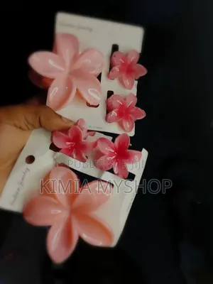 Barrette Et Protège