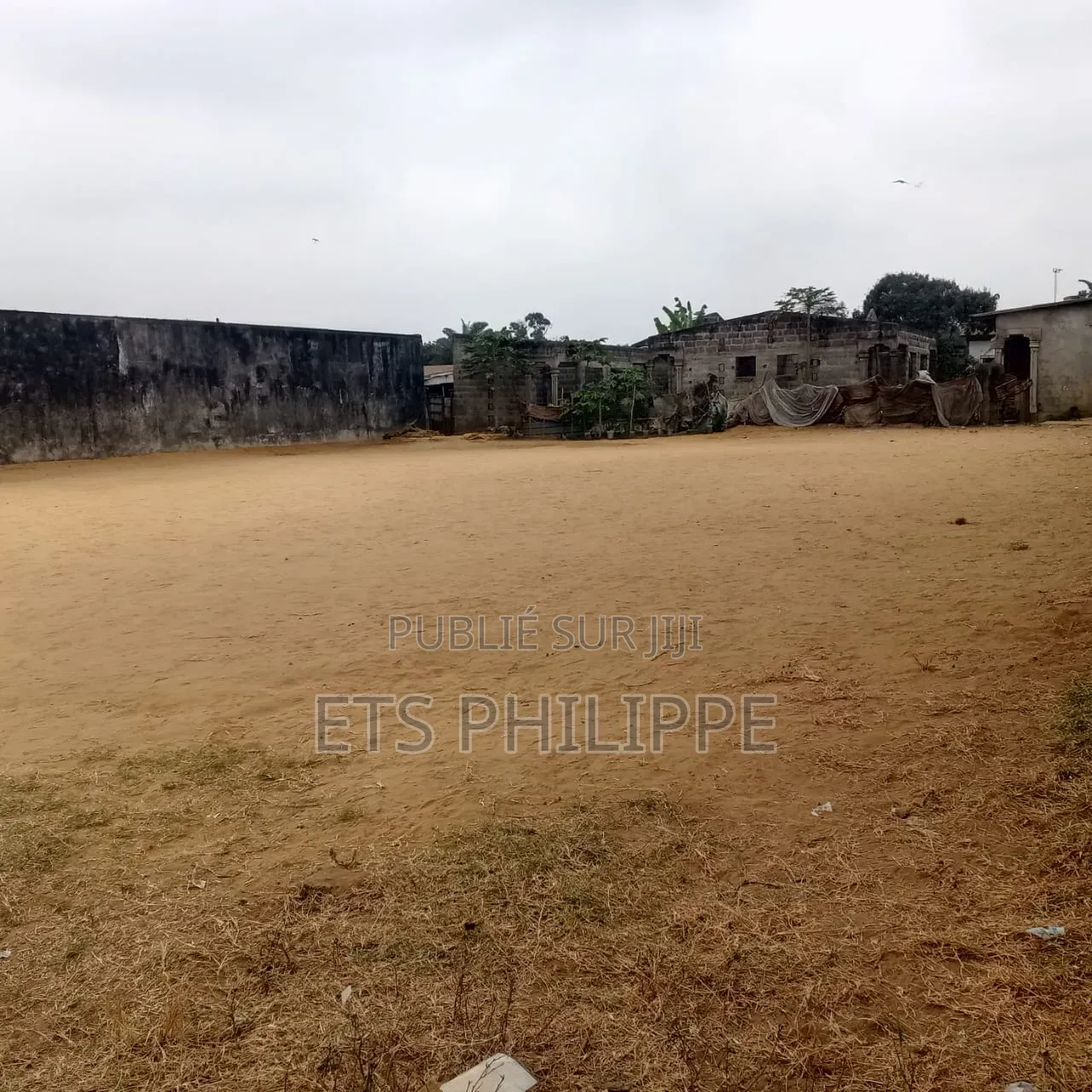 Parcelle À Vendre – Mont Kamba