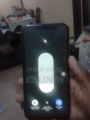 Apple iPhone 11 Pro Max 256 GB Doré