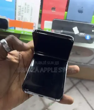 Nouveau Samsung Galaxy Z Flip 5 256 GB Gris