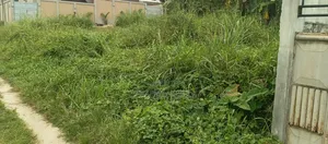 Terrain Nu À Vendre