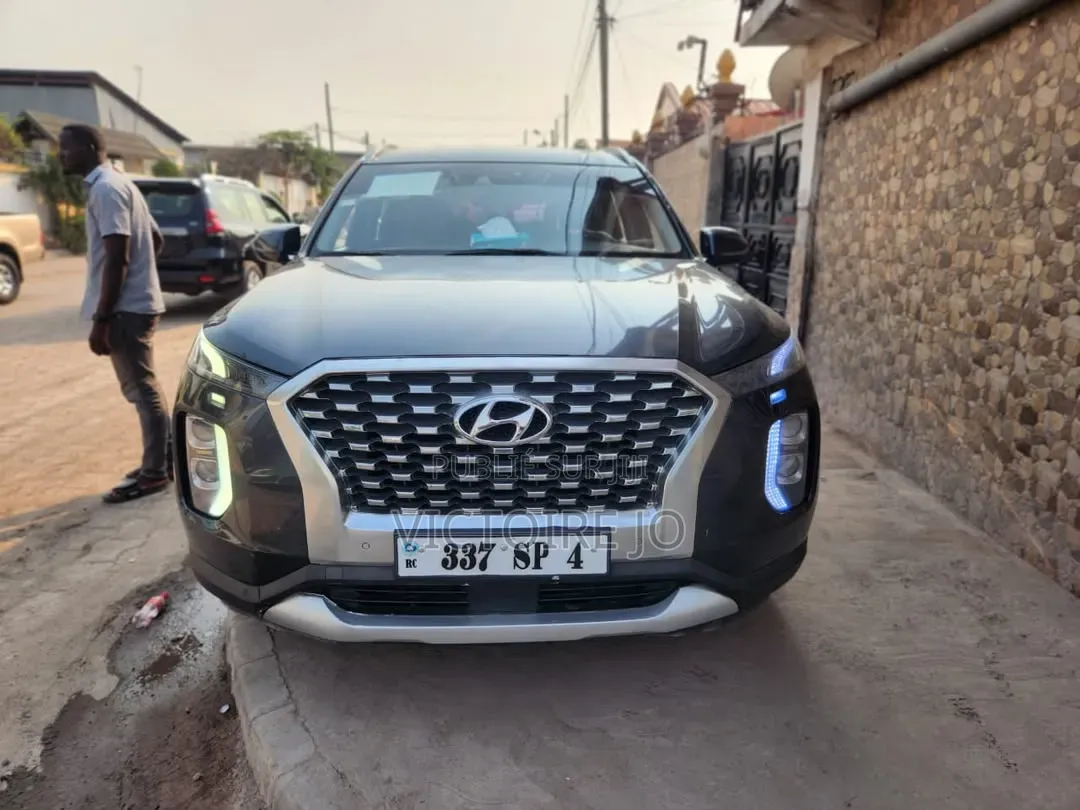 Hyundai Palissade 2019 Noir
