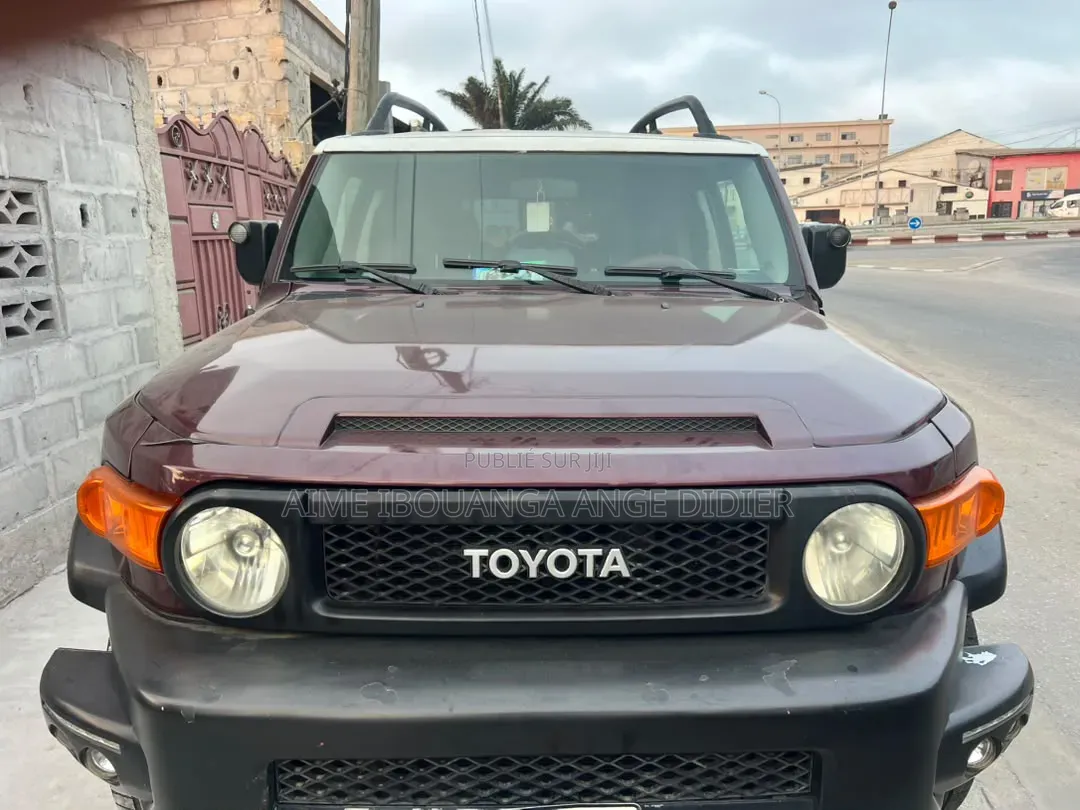 Toyota FJ Cruiser 2019 Marron