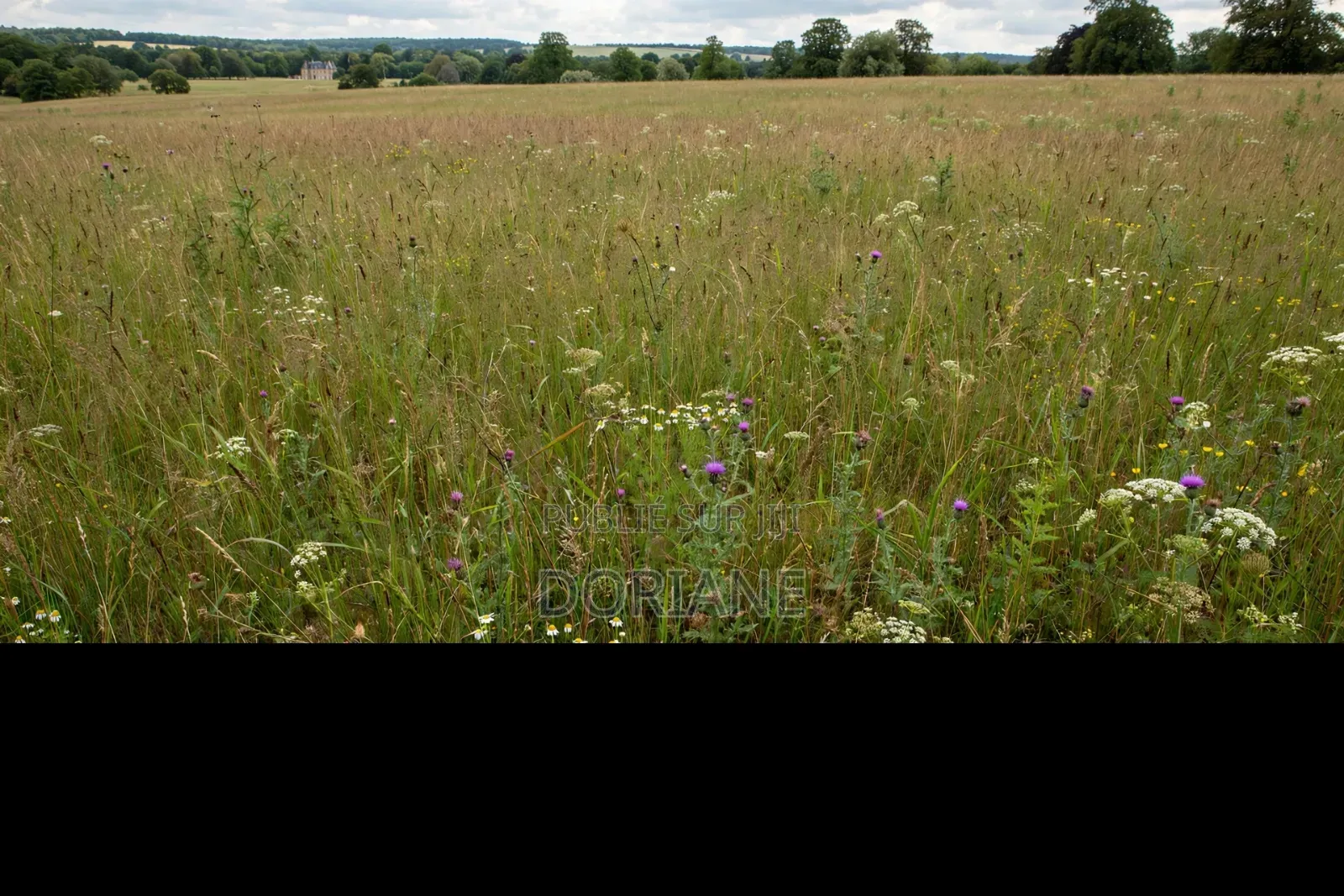 Terrain À Vendre