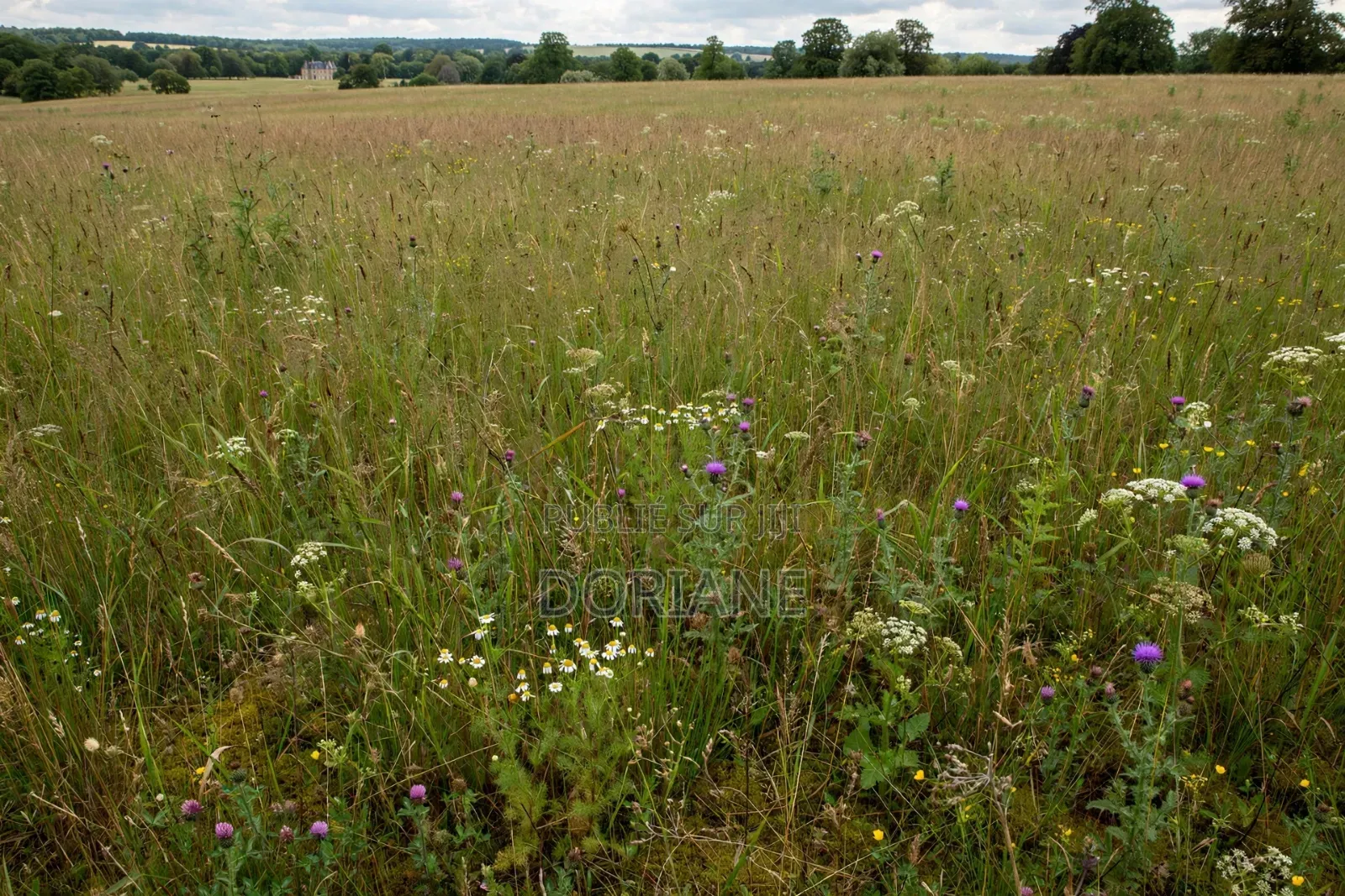 Terrain À Vendre