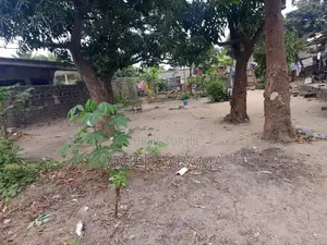 2 Terrains a Mpita