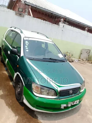 Toyota Picnic 2019 Vert