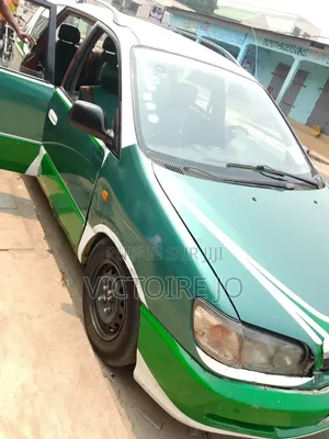 Toyota Picnic 2019 Vert