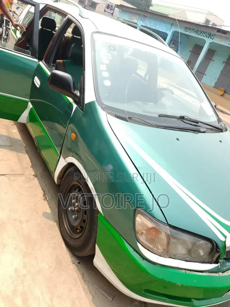 Toyota Picnic 2019 Vert