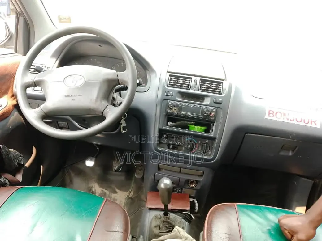 Toyota Picnic 2019 Vert