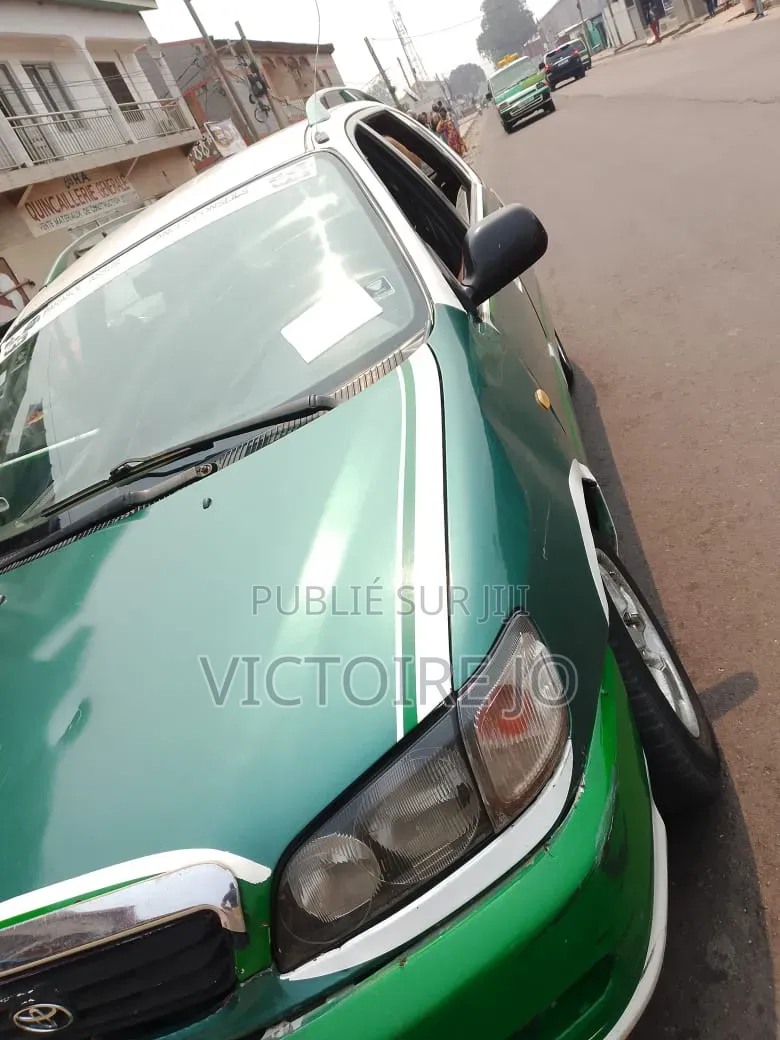 Toyota Picnic 2019 Vert