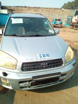 Toyota RAV4 2006 Gris