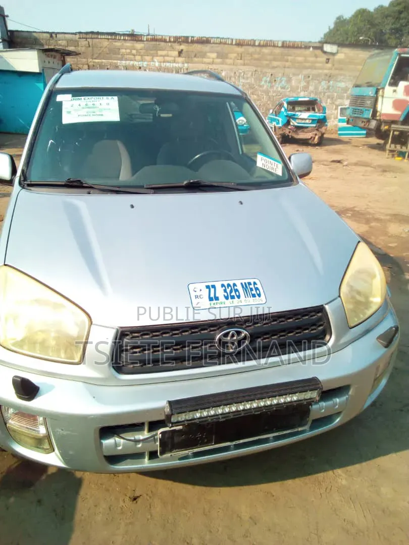 Toyota RAV4 2006 Gris