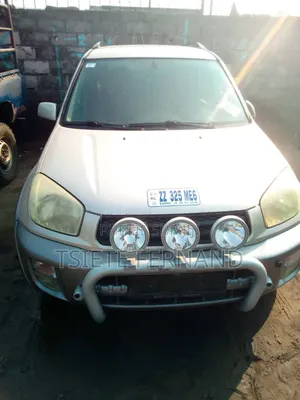 Toyota RAV4 2006 Gris