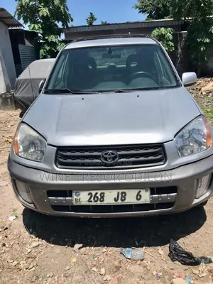 Toyota RAV4 2004 Gris