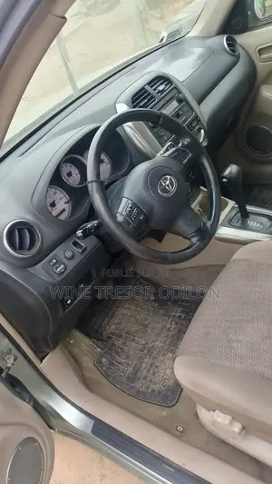 Toyota RAV4 2004 Gris