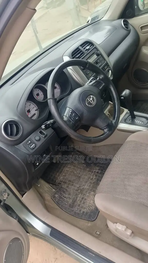 Toyota RAV4 2004 Gris