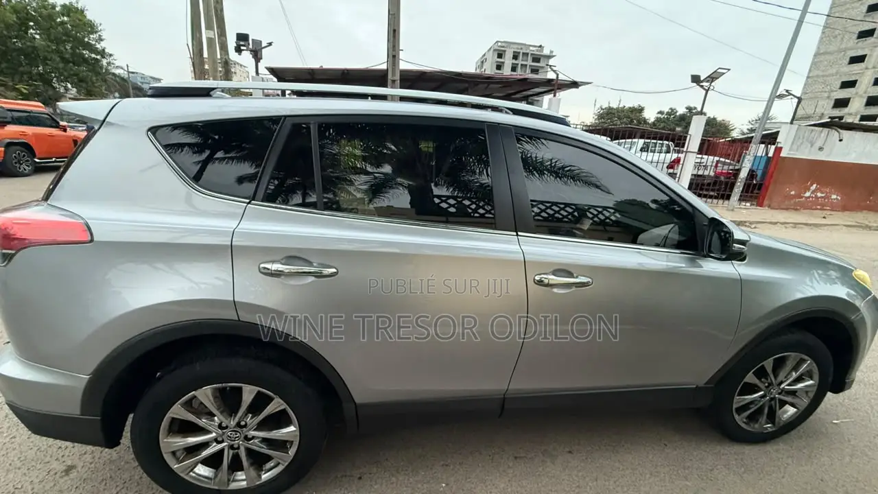 Toyota RAV4 Limited AWD 2019 Gris