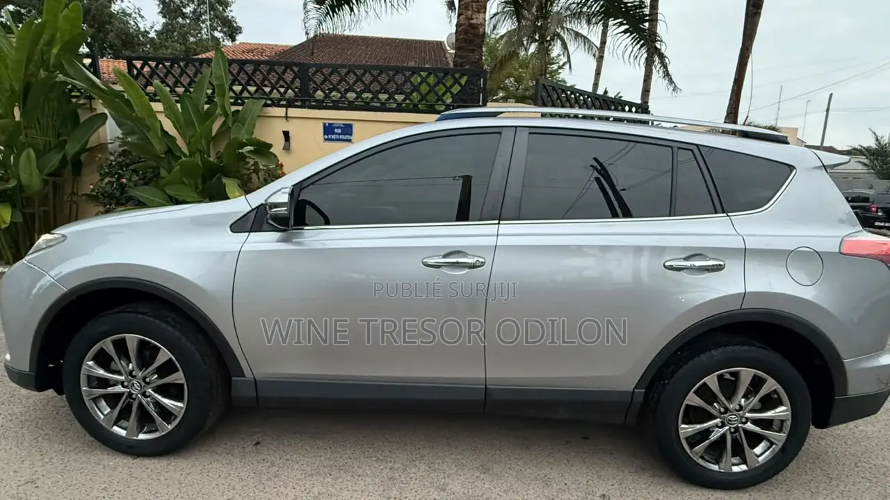 Toyota RAV4 Limited AWD 2019 Gris