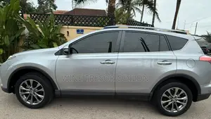Toyota RAV4 Limited AWD 2019 Gris