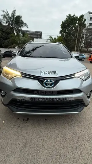 Toyota RAV4 Limited AWD 2019 Gris