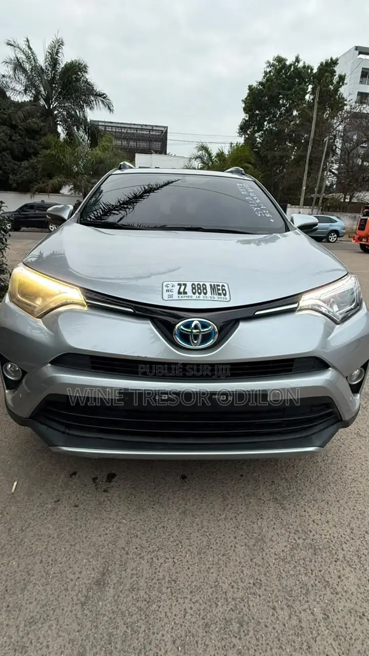 Toyota RAV4 Limited AWD 2019 Gris