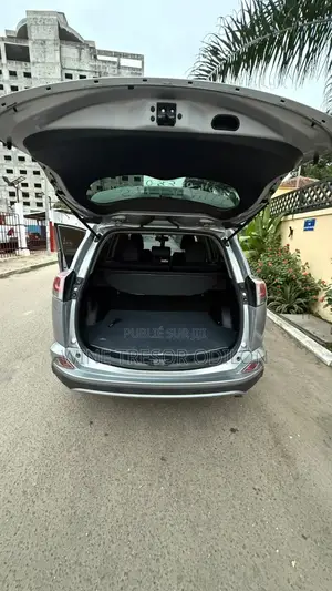 Toyota RAV4 Limited AWD 2019 Gris