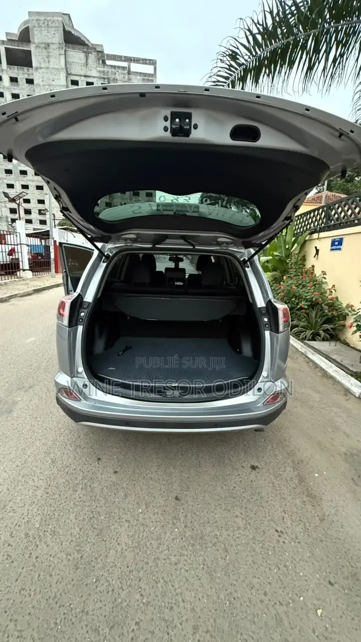 Toyota RAV4 Limited AWD 2019 Gris