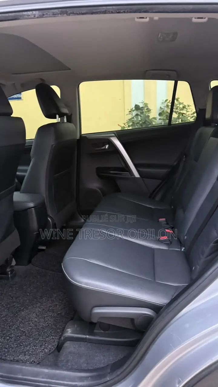 Toyota RAV4 Limited AWD 2019 Gris