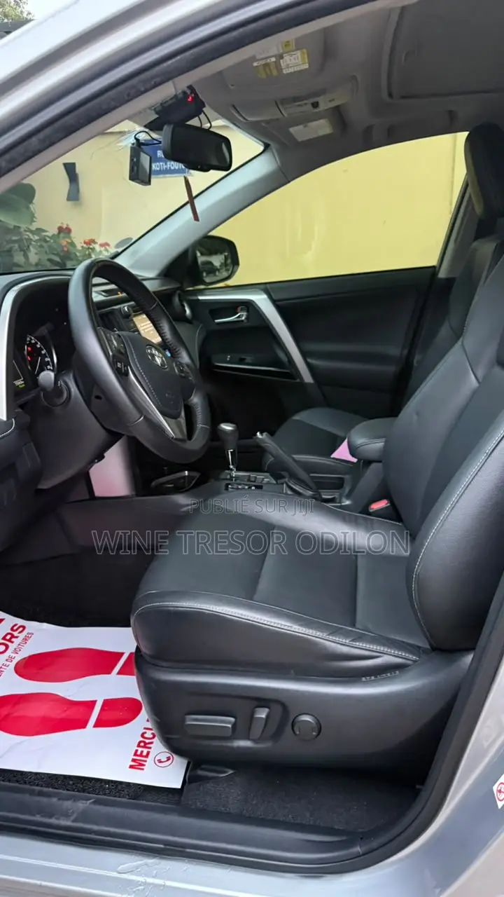 Toyota RAV4 Limited AWD 2019 Gris